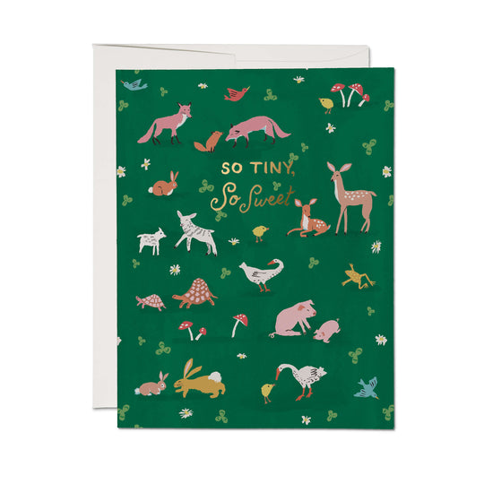 Tiny Animals Card by Red Cap Cards