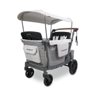 Gray and white双重推车 with canopy on a white background