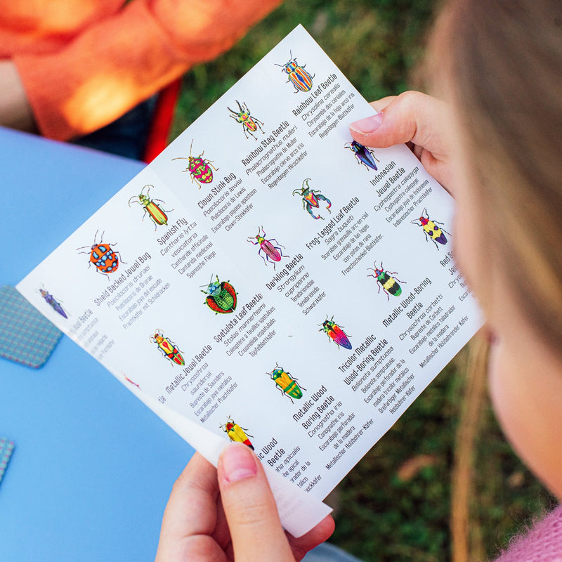Beetles Little Matching Game by Eeboo
