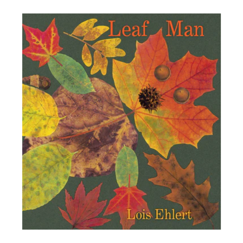 Leaf Man - Board Book