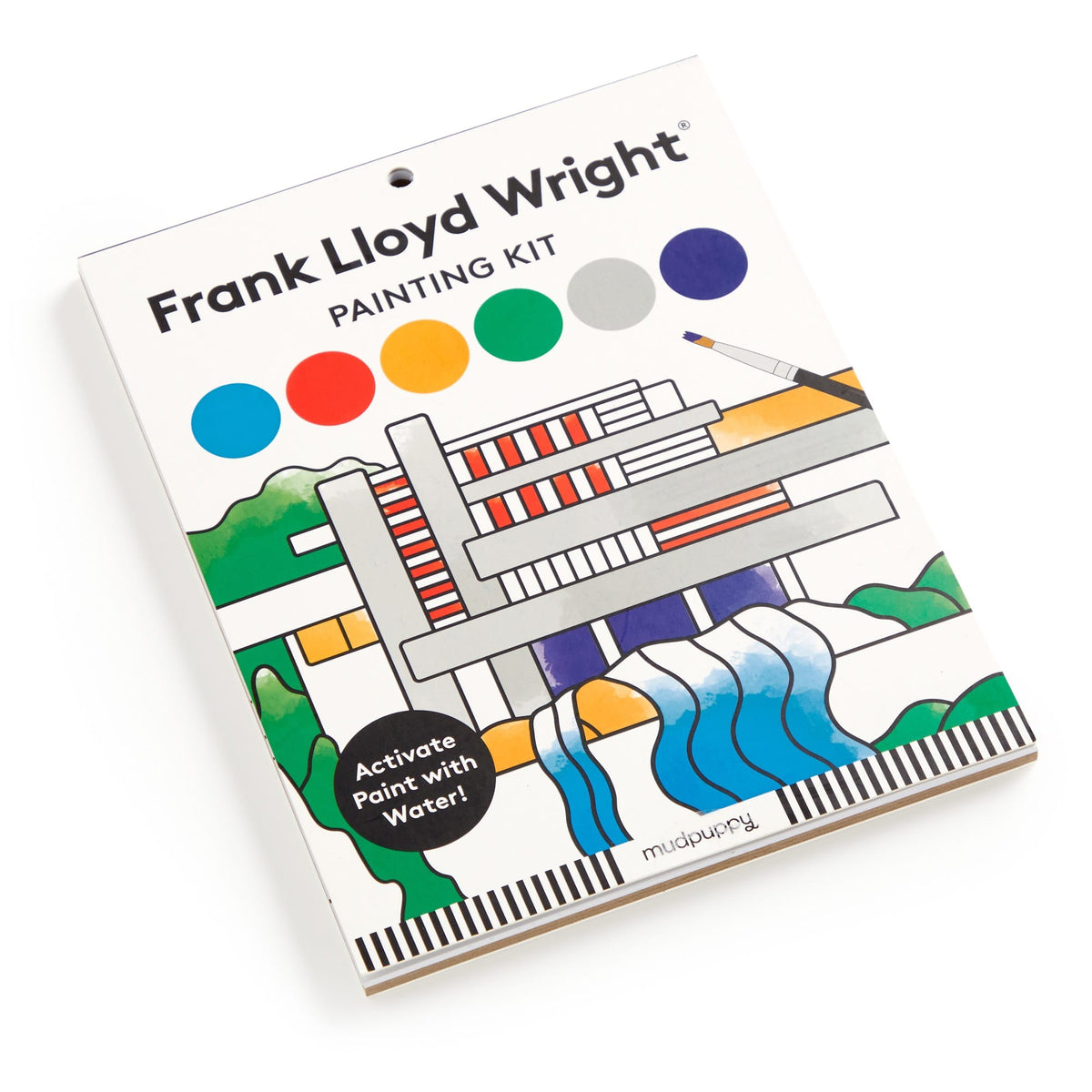 Frank Lloyd Wright painting kit packaging with colorful design and text on a white background