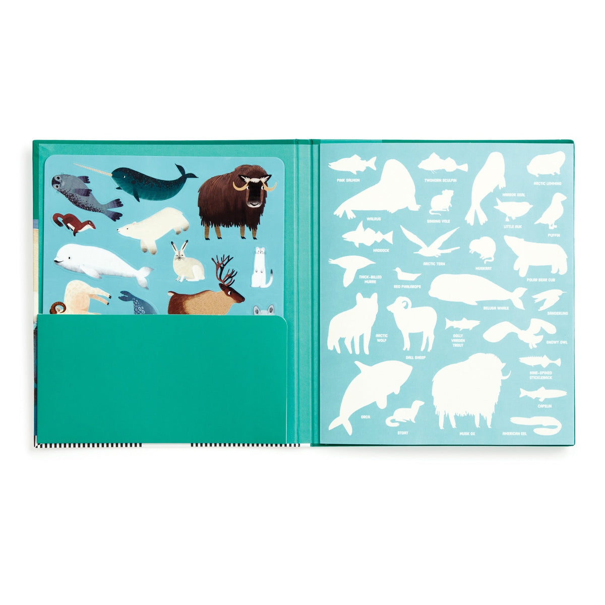 Open book with illustrations of Arctic animals on a light blue background
