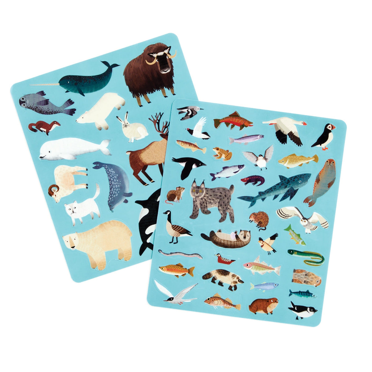 Two cards with illustrations of various animals on a blue background