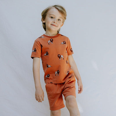 Lion Print Organic Cotton T- Shirt - Copper by miles the label.
