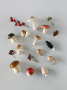 Wooden Mushroom Play Set. The set features assorted mushroom-shaped pieces in natural wood tones and playful colors, presented in a kraft gift-style box with shredded paper filler on a white background.
