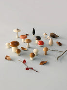 Wooden Mushroom Play Set. The set features assorted mushroom-shaped pieces in natural wood tones and playful colors, presented in a kraft gift-style box with shredded paper filler on a white background.