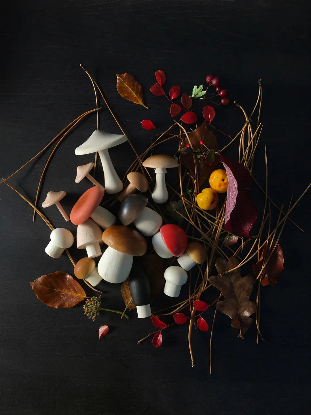 Wooden Mushroom Play Set. The set features assorted mushroom-shaped pieces in natural wood tones and playful colors, presented in a kraft gift-style box with shredded paper filler on a black background.