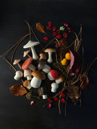 Wooden Mushroom Play Set. The set features assorted mushroom-shaped pieces in natural wood tones and playful colors, presented in a kraft gift-style box with shredded paper filler on a black background.