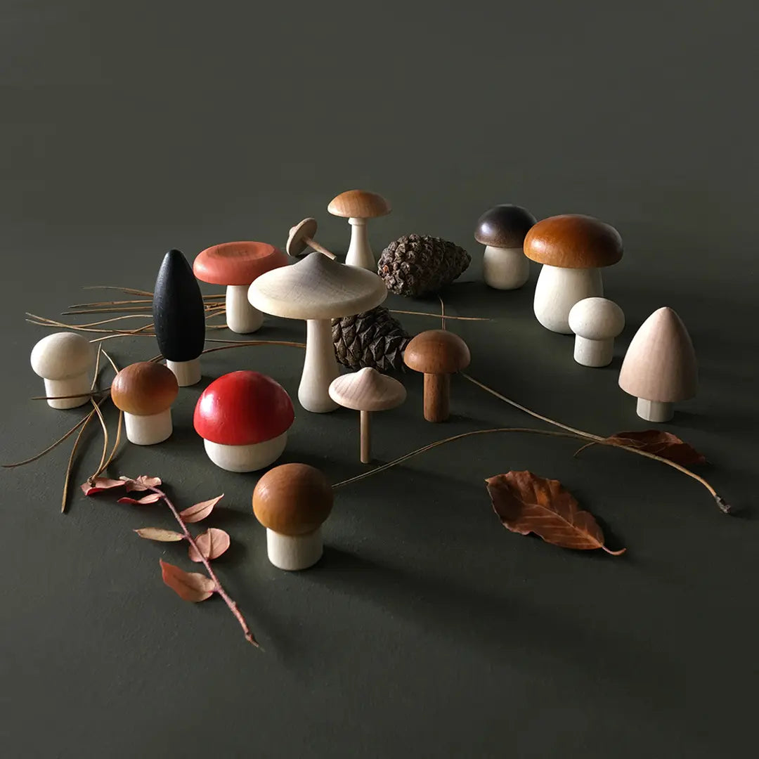 Wooden Mushroom Play Set. The set features assorted mushroom-shaped pieces in natural wood tones and playful colors, presented in a kraft gift-style box with shredded paper filler on a grey background.