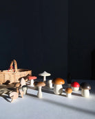Wooden Mushroom Play Set. The set features assorted mushroom-shaped pieces in natural wood tones and playful colors, presented in a kraft gift-style box with shredded paper filler on a dark and light background.