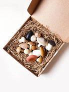 Wooden Mushroom Play Set. The set features assorted mushroom-shaped pieces in natural wood tones and playful colors, presented in a kraft gift-style box with shredded paper filler on a white background.