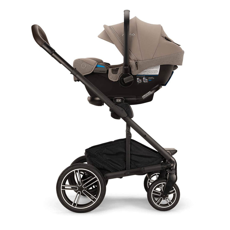 PIPA RX + RELX Base by Nuna