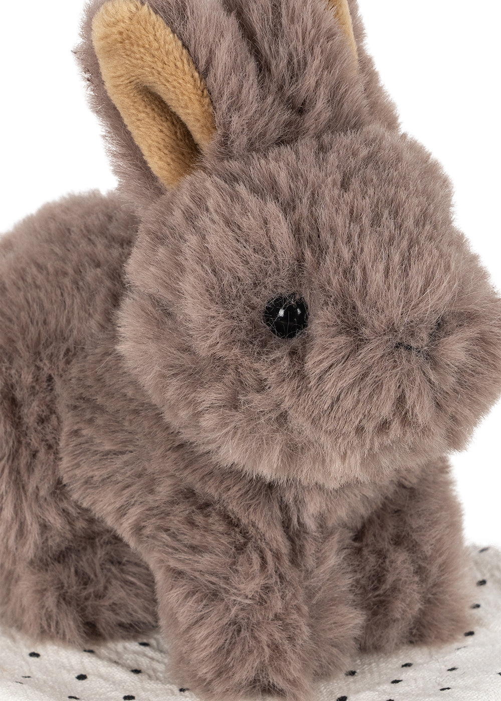 Plush toy rabbit on a white background