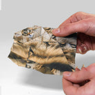 Person holding a folded paper with a cat design on a white background