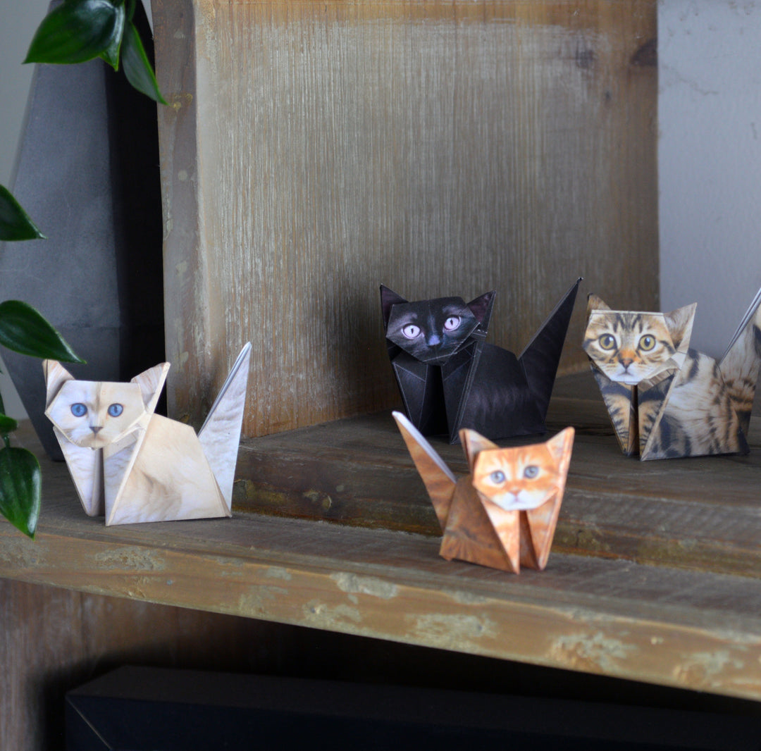 Origami cats of various colors on a wooden surface with a metallic wall in the background