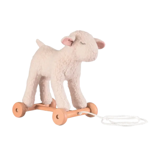 Pull Along Mary Plush Toy by Egmont