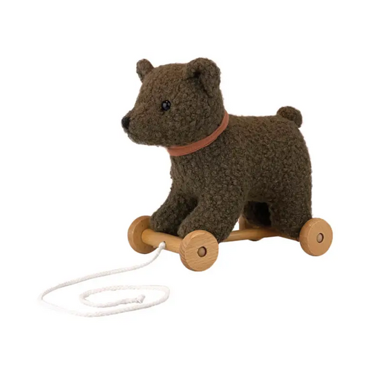 Pull Along Raoul Plush Toy by Egmont