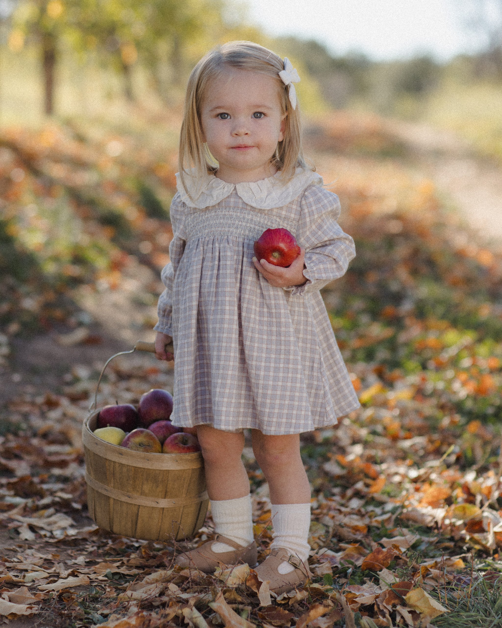 A young girl stands outdoors in a leaf-covered path holding a red apple, wearing a long-sleeve plaid dress with a white Peter Pan collar. A small wooden basket filled with apples sits beside her.