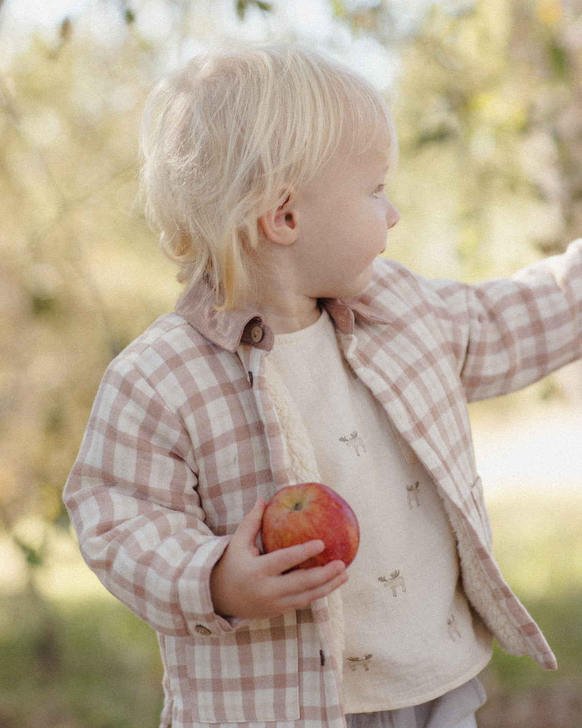 A toddler with blonde hair wearing a beige and brown plaid button-up jacket over a cream fleece shirt, holding a red apple in an outdoor garden setting.