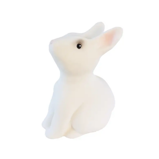 Rabbit Savings Bank by Egmont