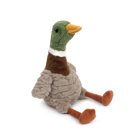 River Mallard Duck by Mon Ami