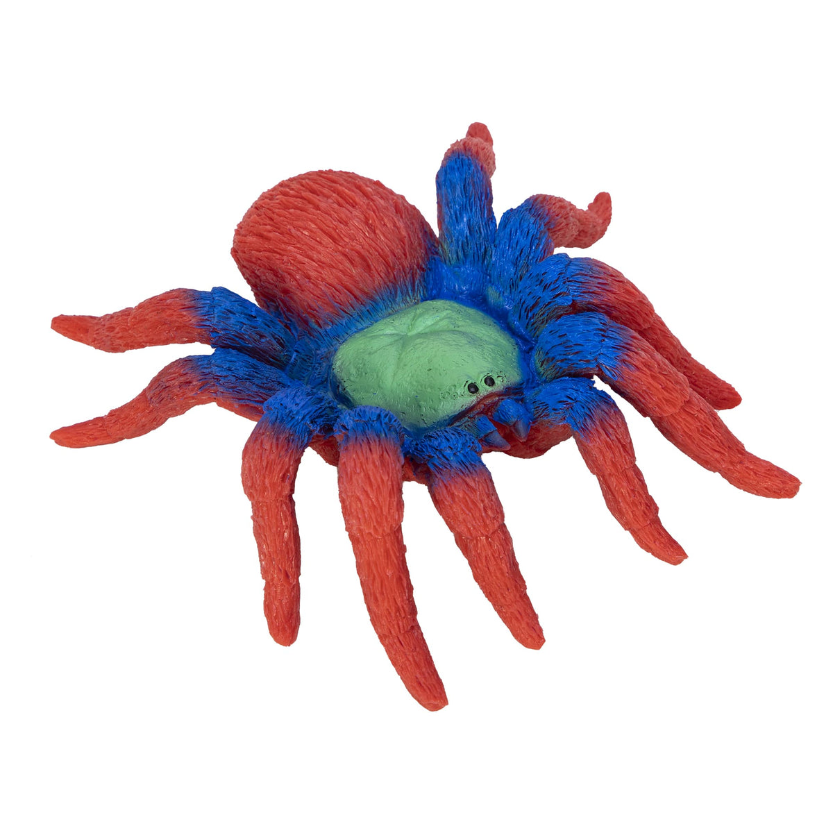 Colorful spider toy on a white background