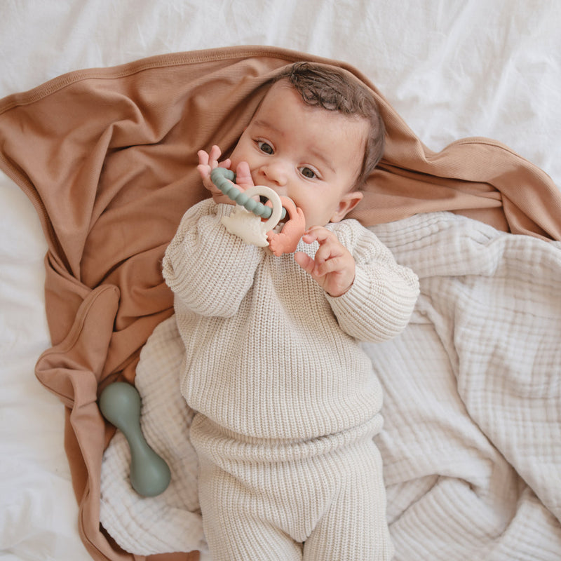 Dino Teething Ring by Mushie & Co