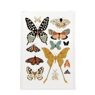 Butterfly Collector Portrait  Art Print - 11x14 by Clementine Kids