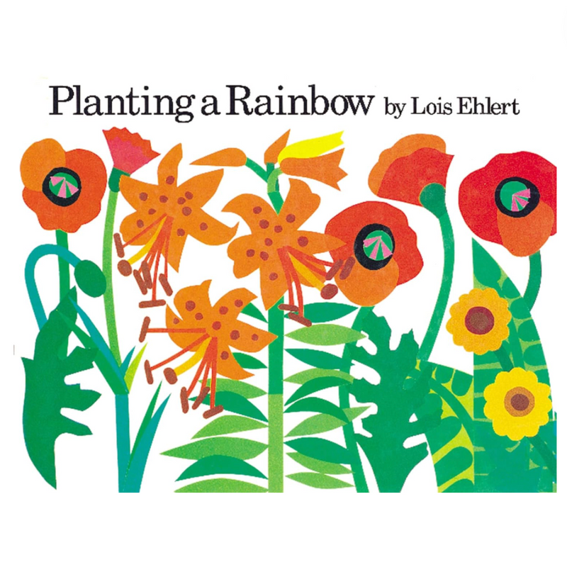 Planting a Rainbow - Small Board Book