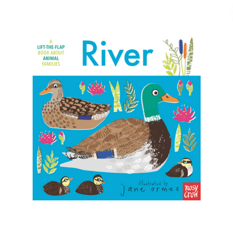 Animal Families: River - Board Book