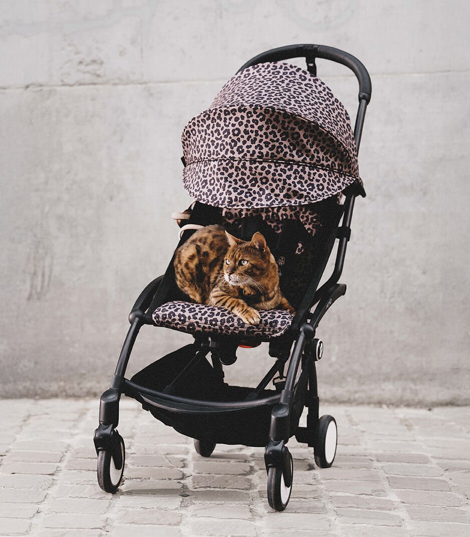 Cat lying inside a baby stroller with leopard print cover on a concrete floor.