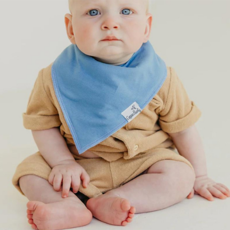 Single Bandana Bib - Veggies by Copper Pearl