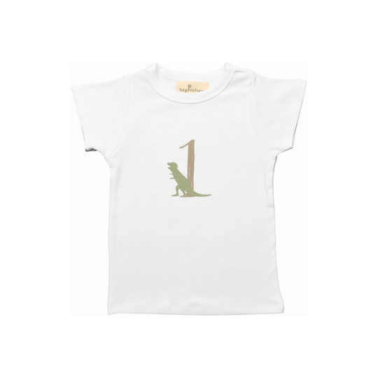 Dinosaur Birthday Tee by Tiny Victories