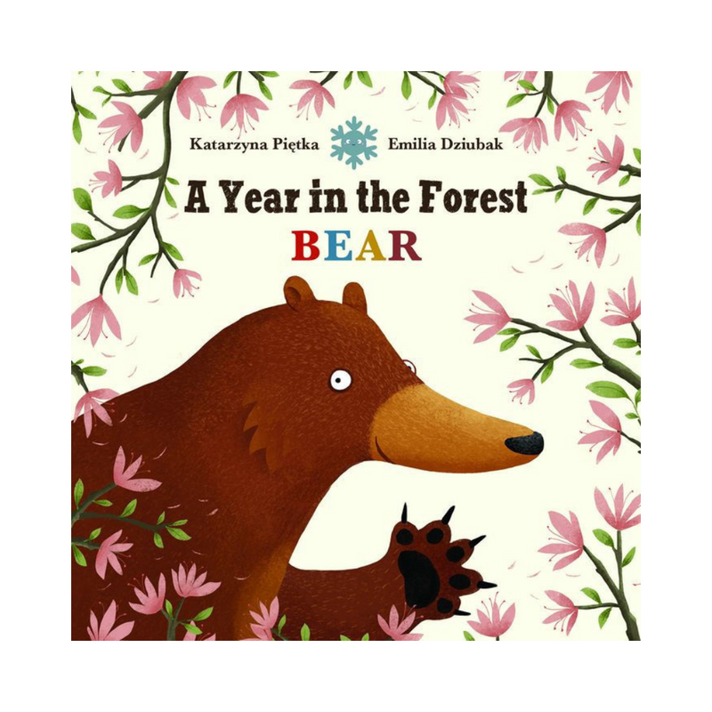 A Year in the Forest: Bear - Board Book