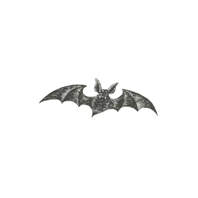 Vampire Bat Tattoos - Set of 2 by Tattly - FINAL SALE