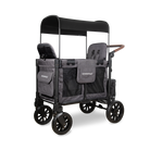 Gray and black double stroller wagon with canopy on a white background