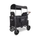 Black double stroller wagon with canopy on a white background