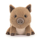 Plush toy pig on a white background