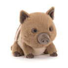 Plush toy wombat on a white background