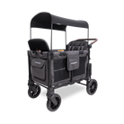 Black and gray双重推车 with canopy on a white background