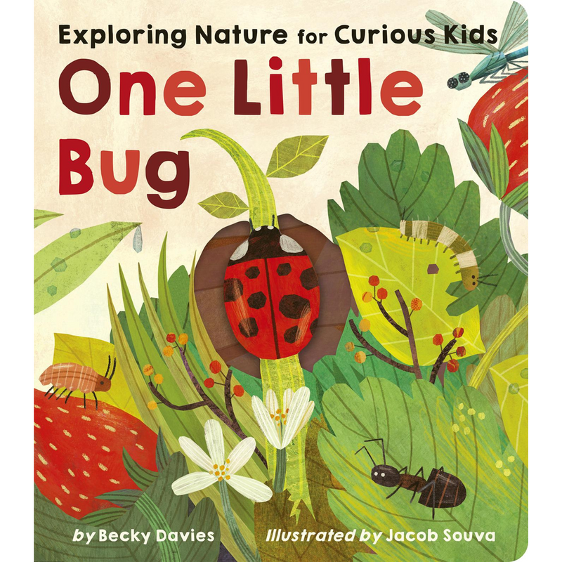 One Little Bug - Board Book