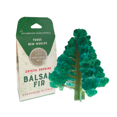 Crystal Growing Balsam Fir by Copernicus Toys