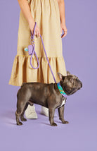 A person in a yellow gingham dress holds a purple retractable dog leash with a small purple case, standing next to a dark gray French Bulldog wearing a colorful patterned collar, against a solid purple background.