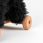 Close-up of a black cat with a fluffy tail on a wooden perch against a white background