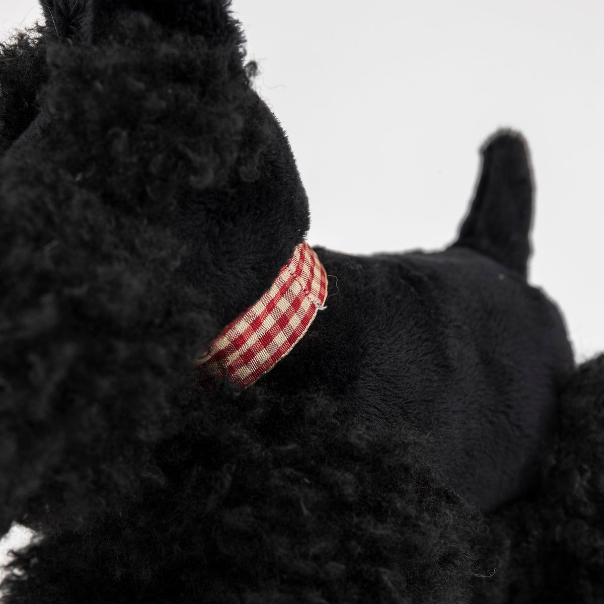 A close-up of a black fluffy dog wearing a red and white gingham check collar, set against a plain light gray background.