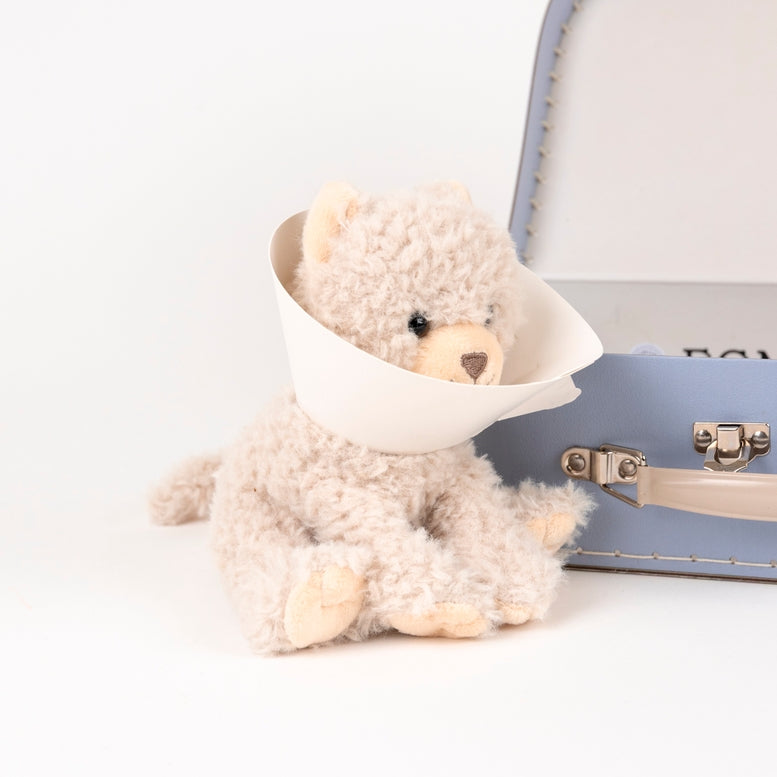 A fluffy cream-colored plush teddy bear wearing a white cone collar, posed next to a light blue suitcase on a clean white background.
