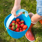 Child holding a blue bucket filled with strawberries on grass