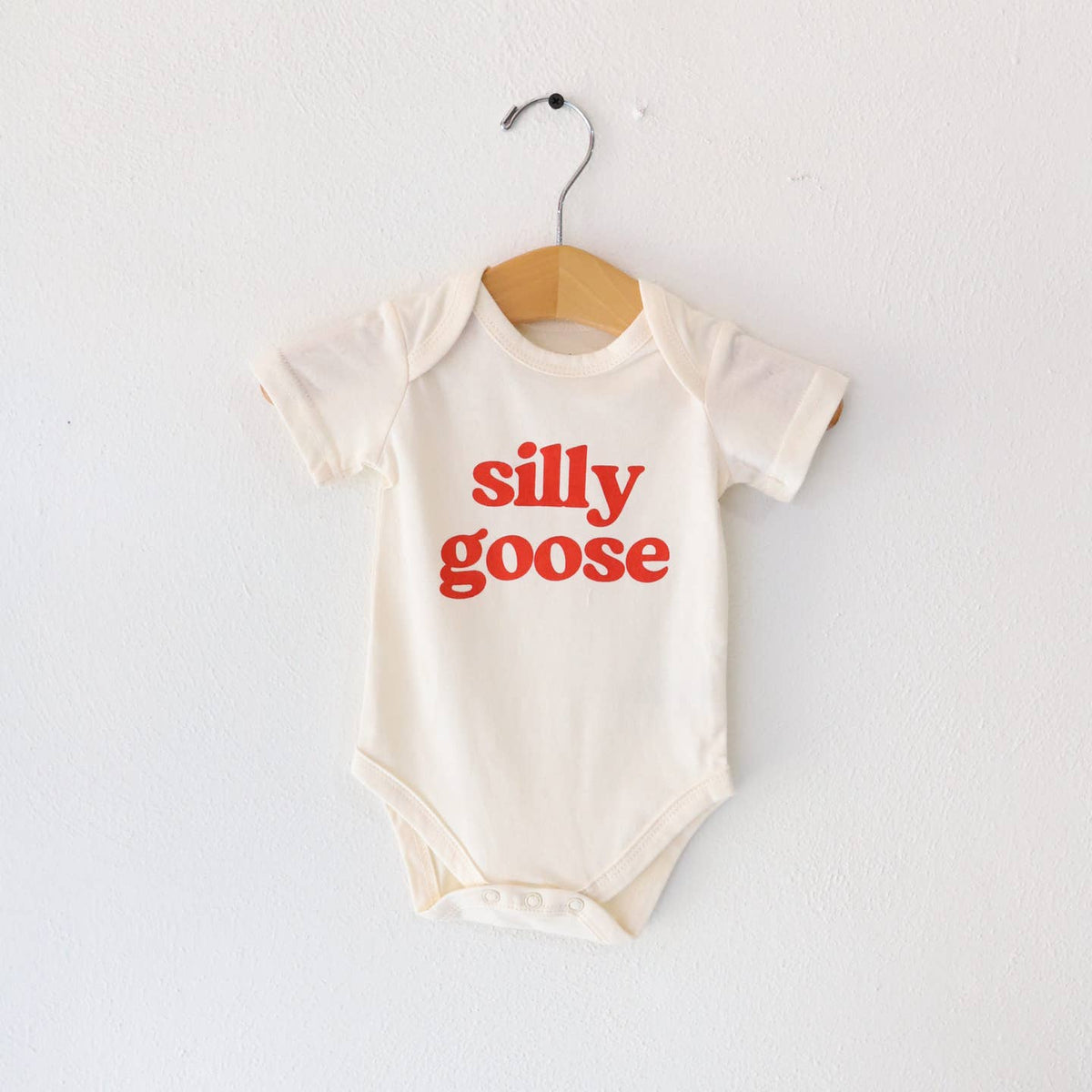 Baby onesie with 'silly goose' text on a white background