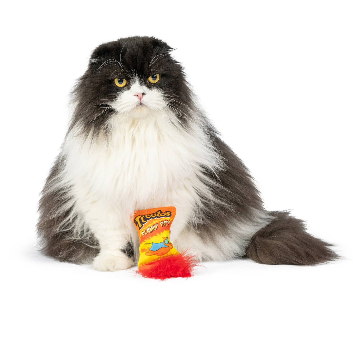 Long-haired black and white cat holding a Reese's Peanut Butter Cup toy on a white background