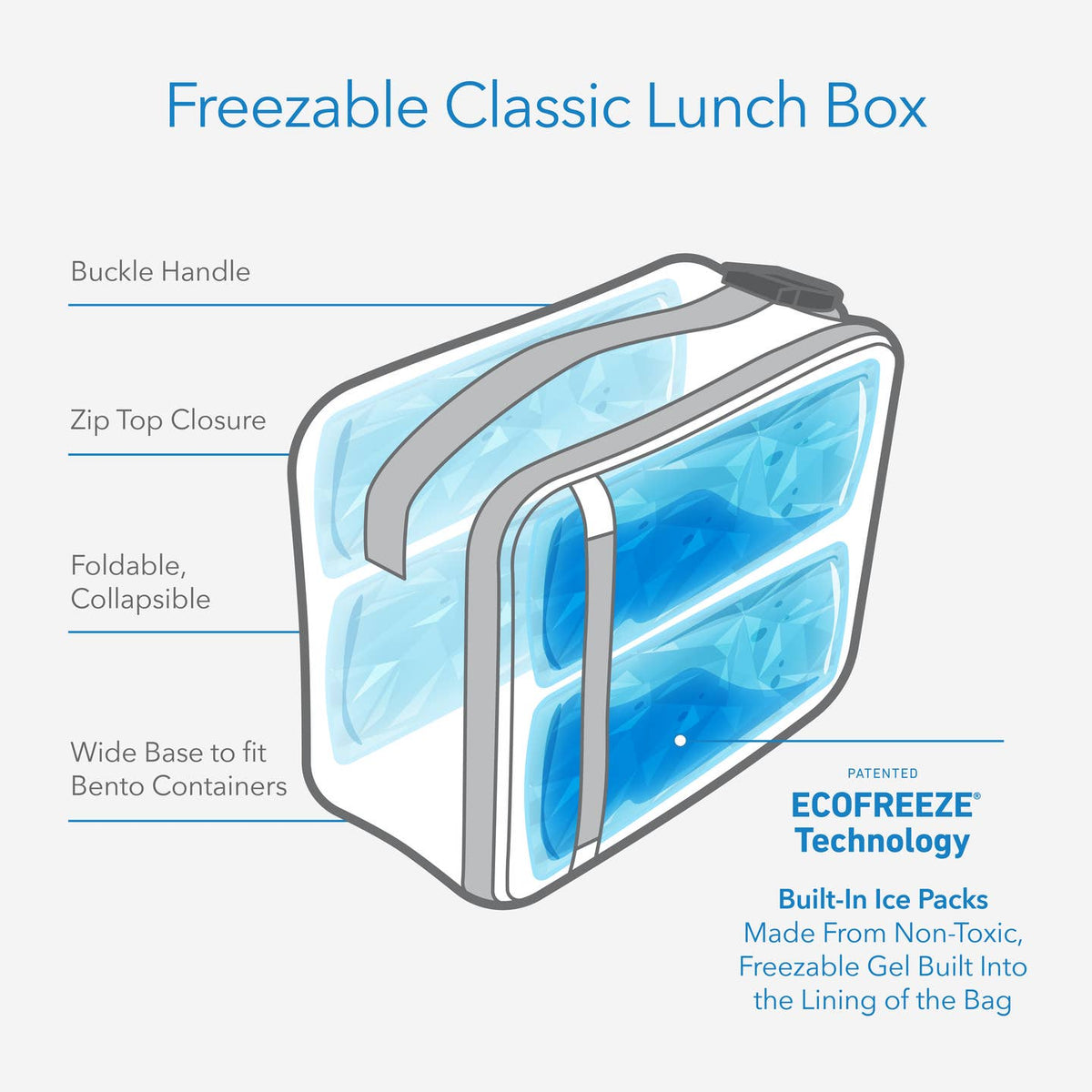 Diagram of a freezable classic lunch box with features labeled